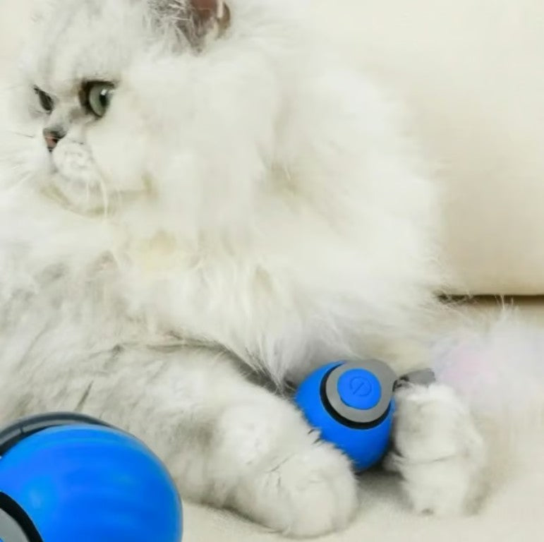 MeowMotion™ Smart Cat Ball