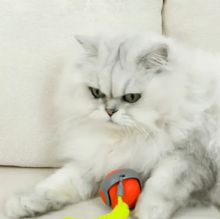 MeowMotion™ Smart Cat Ball